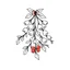 Placeholder: A black and white cute drawing of beautiful mistletoe. Only outline, white background,for kids