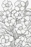 Placeholder: flowers coloring page for kids, primrose, cartoon style, thick outline, low details, no shading, no color