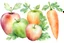 Placeholder: white background. apple carrot mutant fruit. Carrot apple carrot mutant fruit. Cartoon style. watercolor.