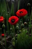 Placeholder: poppies growing out of a zombie