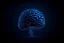 Placeholder: dark blue background with brain