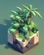 Placeholder: 3d isometric plant