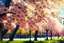 Placeholder: city, flowers, trees, sunny day, spring