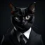 Placeholder: black cat with glasses, suit and human body