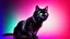 Placeholder: black cat sitting on an office chair, dark room with neon violet lights, realistic