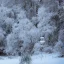 Placeholder: winter landscape, bells, glimmering, ice, crystals