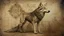 Placeholder: a wolf in da vinci style