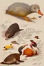 Placeholder: John James Audubon-like illustration of a fully uncropped Dodo bird and a Platypus in a landscape of warm yellows, warm reds, and warm blues