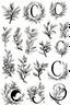 Placeholder: A flash of 10 designs line drawing of letter C and olive branche black in on white background for a tattoo design