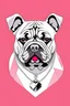 Placeholder: plain pink background with a bulldog cartoon with a diamond necklace