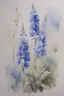 Placeholder: Watercolour of delphiniums in the style of willem henraets