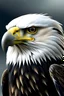 Placeholder: Picture for eagle with word Nsoor