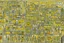 Placeholder: A light yellow electrical Egyptian city designed in Australian aboriginal art painted by Jackson Pollock