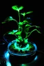 Placeholder: Generate one bioluminescent plant in soil