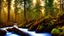 Placeholder: stream running through a rocky clearing in a pine forest