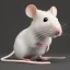 Placeholder: white Field mouse