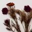 Placeholder: aesthetic layout of small dried flowers bouquet on white textured paper, beautiful composition, vintage, tender, mild colours