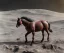 Placeholder: horse on the moon