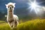 Placeholder: cute alpaca pup on a mountain meadow, looking very happy, intricate, volumetric lighting, volumetric clouds, sharp photo