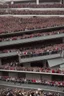 Placeholder: donald trump standing on a balcony with hundreds of people below kneeling