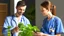 Placeholder: male and female doctor with stethoscope examining bunch of herbal plants and smiling