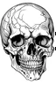 Placeholder: outline art for horror skull story coloring pages, white background, only use outline, sketch style, clear line art, no shadows clean and well