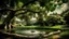 Placeholder: Capture a shot of a large tree with a wooden swing hanging from two ropes, The birds should be flying around the tree and chirping.
