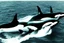 Placeholder: An orca army pod fighting in WW2