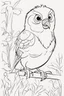 Placeholder: blank colouring book, white blank background, simple picture for toddlers, bird pet, disney and pixar style