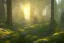 Placeholder: forest trees sunshine mountains