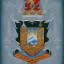 Placeholder: coat of arms of a city in the moutains, very detailed