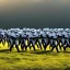 Placeholder: sunrise on horizon, galactic empire stormtroopers marching over grassy field