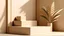 Placeholder: Mockup Step Display For Present Product With Sunshade Plant Shadow On Beige Color Wall Abstract Background 3d Render