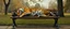 Placeholder: master oil painting by Rembrandt, flat paper tiger person sleeping on a bench in the park