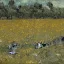 Placeholder: Portrait of kittens in a field of flowers at night by Van Gogh