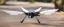 Placeholder: flapper drone is a drone that flaps wings like a colibri