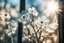 Placeholder: ice flowers on a window in sunshine, backlit, ethereal, cinematic postprocessing, bokeh, dof