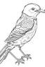 Placeholder: outline art for Birds coloring pages with sitch, white background, Sketch style, full body, only use outline, dementia patients style, clean line art, white background, no shadows and clear and well outlined.