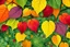 Placeholder: pop art pixels 1000 images english leaves in spring abstract klimt