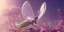 Placeholder: crystal subtle flower in a galactic ambiance beautiful fairy, transparent, delicate colors, in the foreground, full of details, smooth，soft light atmosphere, light effect，vaporwave colorful, concept art, smooth, extremely sharp detail, finely tuned detail, ultra high definition, 8 k, unreal engine 5, ultra sharp focus