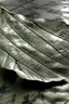 Placeholder: Organic leaf became metallic, silver