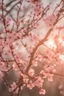 Placeholder: Plum blossoms, light pink, sunset light, f/1.8, 35mm, Canon DSRL 5 Lens, cinematic lightning