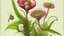 Placeholder: Pintura de una planta carnívora Dionaea muscipula con una mosca → Microcosmos → Laboratorio botánico retro → Estética de ilustración científica del siglo XIX → Precisión anatómica y claridad descriptiva → Grabado coloreado con acuarela → Composición centrada, casi heráldica → Luz de examen, focalizada y blanca → Verde pálido, rosa translúcido y negro denso → Rigor analítico y tensión biológica → Paleta limitada y descriptiva → Figurativo hiperrealista → Detalle microscópico en los cilios margina