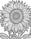 Placeholder: real massive Sunflower flower coloring page