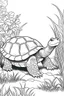Placeholder: Outline art, no shading, turtle full body in the garden, cartoon style, black and white, low detail, --ar 9:11