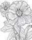 Placeholder: real massive Lisianthus flower coloring page