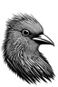 Placeholder: Black and white abstract bird head