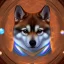 Placeholder: 3rd eye space shiba inu, with lightning