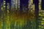 Placeholder: Night, cyberpunk buildings near pine trees, tendency to science fiction, impressionism painting