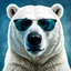 Placeholder: a portrait of a polar bear wearing sunglasses